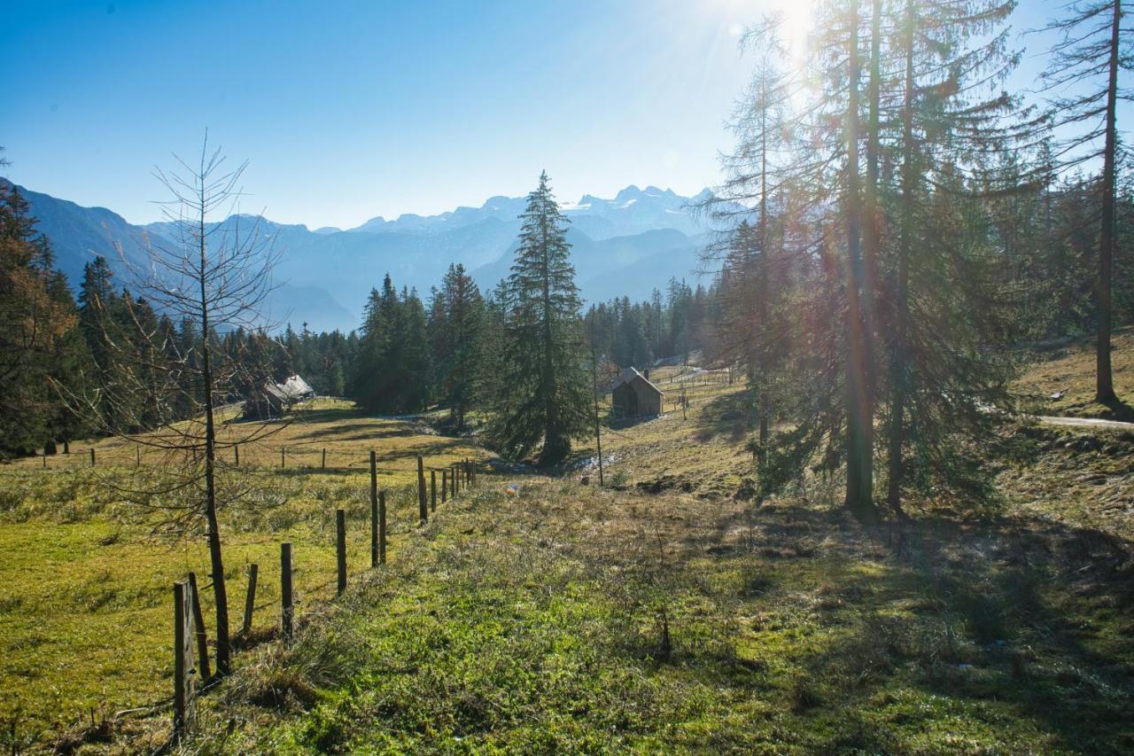 Ferienwohnung Stoablick - Barrierefrei Mit Bergblick บัดกอยเซิร์น ภายนอก รูปภาพ